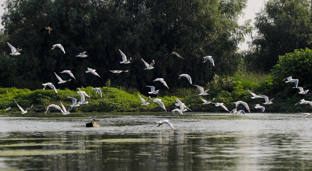 Vila Delta Travel - Mila 23 Mila Douăzeci şi Trei Eksteriør billede
