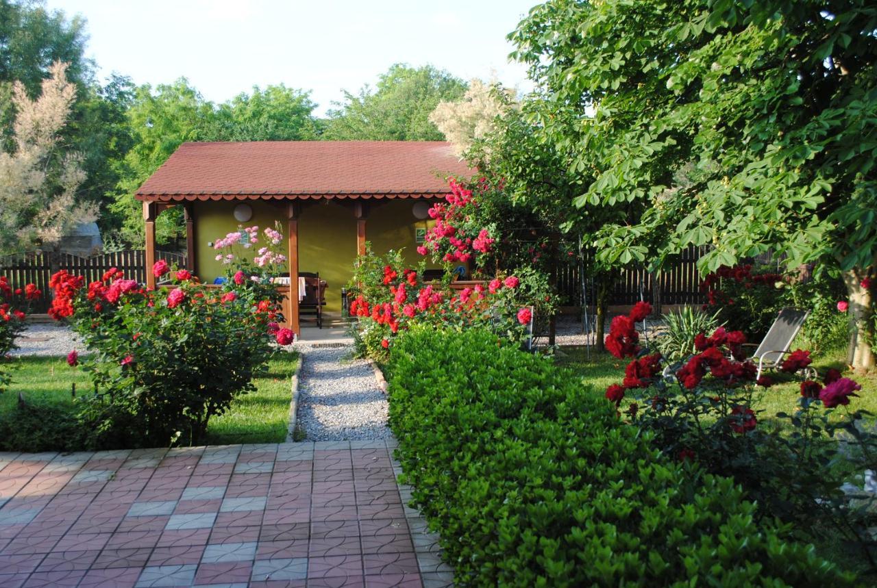 Vila Delta Travel - Mila 23 Mila Douăzeci şi Trei Eksteriør billede